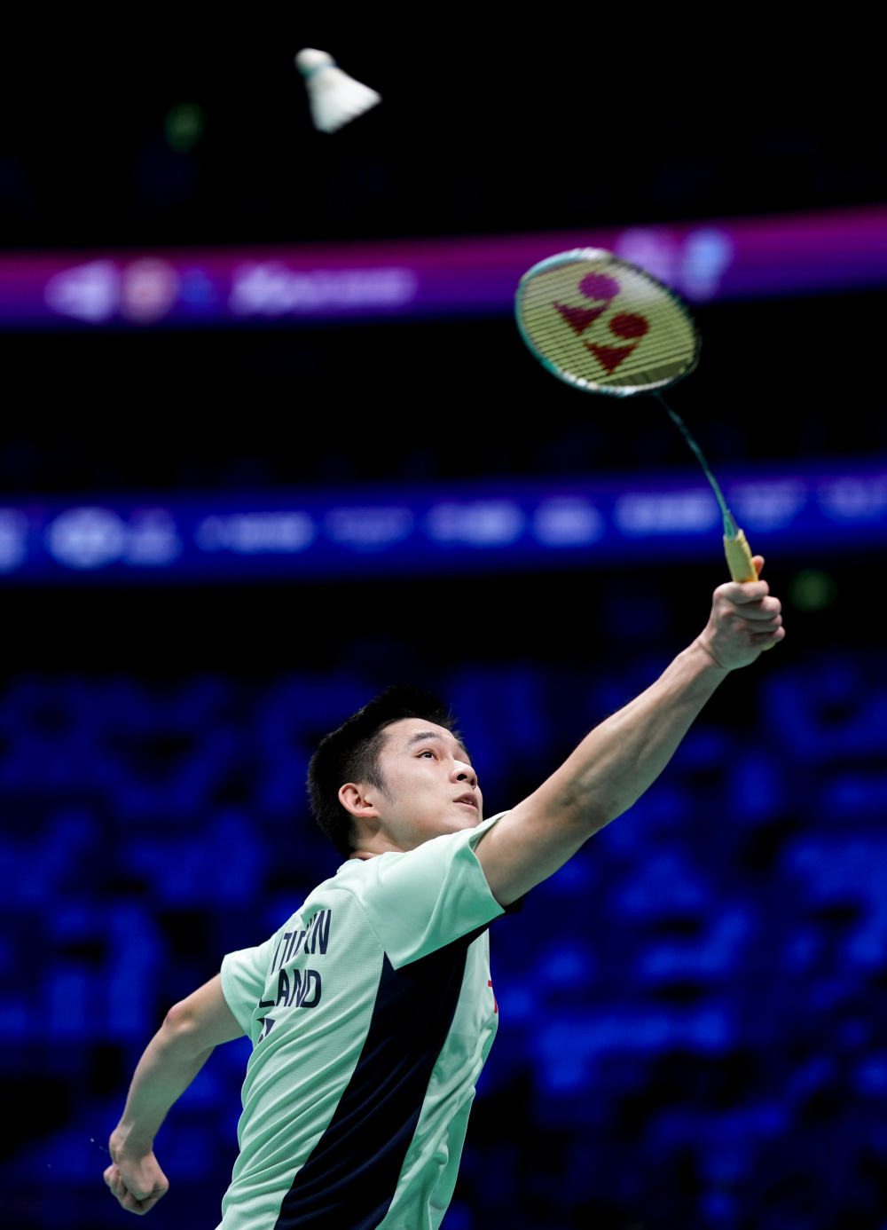 从TA的报 从TA的报