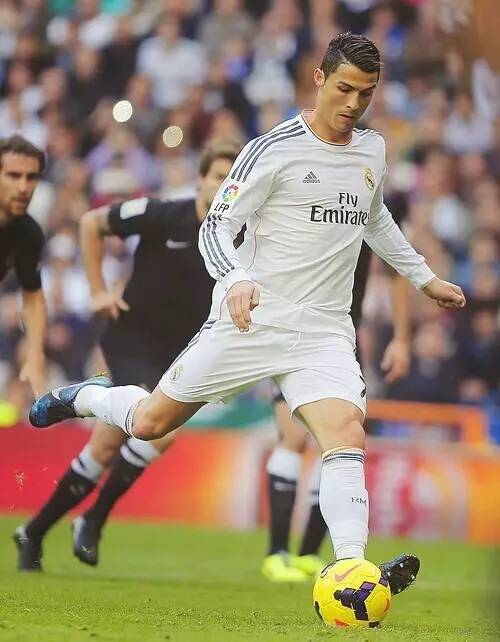 清晰地看出 清晰地看出